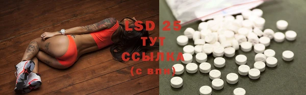 ПСИЛОЦИБИНОВЫЕ ГРИБЫ Майский