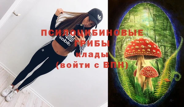 кокаин премиум Богородицк