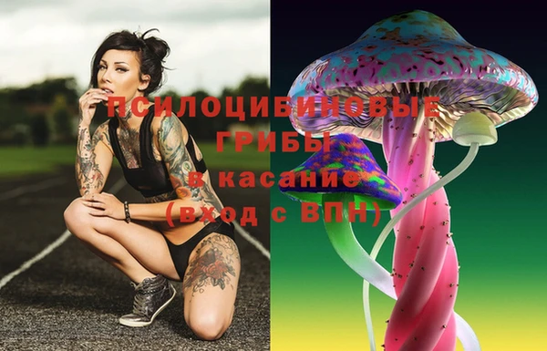Альфа ПВП Бородино