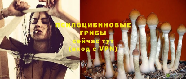 прущие грибы Мегион