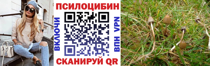 Галлюциногенные грибы Magic Shrooms  сколько стоит  Вилюйск 